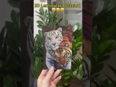 Van Gogh's Sunflowers 3D Lenticular Postcards For Museum Art Gallery