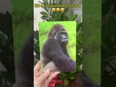 3D Changing Pictures Anniversary card Birthday Wedding card 3D printing images