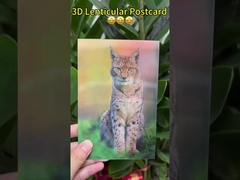 Van Gogh's Sunflowers 3D Lenticular Postcards For Museum Art Gallery