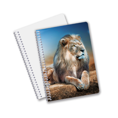 Wholesale 3D Effect 3D Lenticular Printing Notebook Hardcover Spiral Bound Notebook Perforated Notebook For Kids