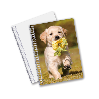 Wholesale 3D Effect 3D Lenticular Printing Notebook Hardcover Spiral Bound Notebook Perforated Notebook For Kids