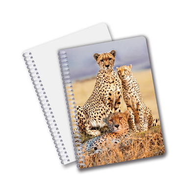 Wholesale 3D Effect 3D Lenticular Printing Notebook Hardcover Spiral Bound Notebook Perforated Notebook For Kids