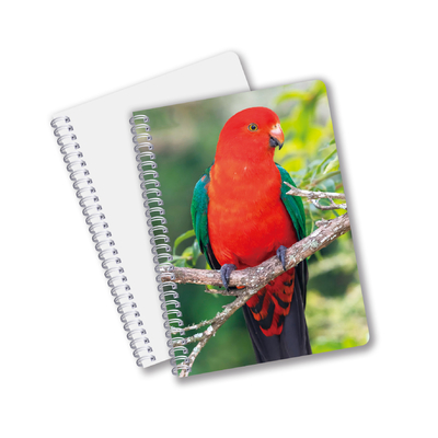 Hot Selling School Stationery 3D Lenticular Printing Diary Notebook for Souvenir