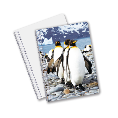 Hot Selling School Stationery 3D Lenticular Printing Diary Notebook for Souvenir