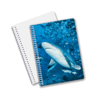 Hot Selling School Stationery 3D Lenticular Printing Diary Notebook for Souvenir