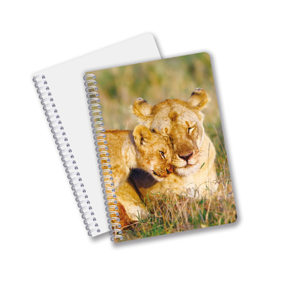Daily Use Good Quality Made In China Eco Friendly PET Durable Custom Sheets 3D Lenticular Spiral Notebook