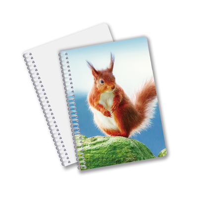 Daily Use Good Quality Made In China Eco Friendly PET Durable Custom Sheets 3D Lenticular Spiral Notebook
