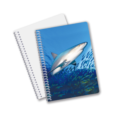 Daily Use Good Quality Made In China Eco Friendly PET Durable Custom Sheets 3D Lenticular Spiral Notebook