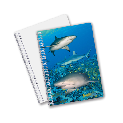 School supplies 3D Lenticular note book Custom Spiral Notebook for student and office