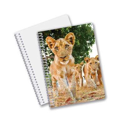 School supplies 3D Lenticular note book Custom Spiral Notebook for student and office
