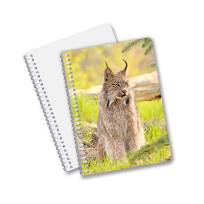School supplies 3D Lenticular note book Custom Spiral Notebook for student and office