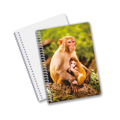 Wholesale customized hot sale size A6 A5 A4 PET spiral 3D lenticular CMYK printing notebooks for office work
