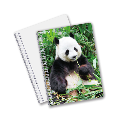 Wholesale customized hot sale size A6 A5 A4 PET spiral 3D lenticular CMYK printing notebooks for office work