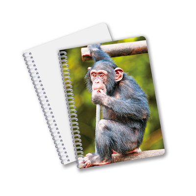 Factory Custom B5 A5 A6 3d Printing Lenticular Notebook Cute Spiral Student Notebook
