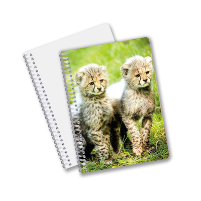Factory Custom B5 A5 A6 3d Printing Lenticular Notebook Cute Spiral Student Notebook