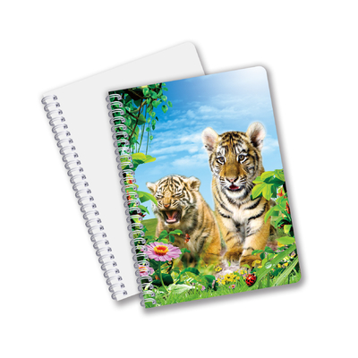 Factory Custom B5 A5 A6 3d Printing Lenticular Notebook Cute Spiral Student Notebook
