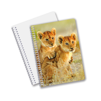 Factory Custom B5 A5 A6 3d Printing Lenticular Notebook Cute Spiral Student Notebook