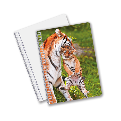 School Stationery 3D Lenticular Advertising Custom Spiral Notebooks for Children Promotion Gift