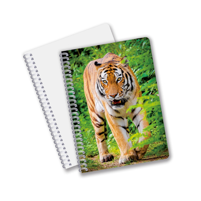China Factory 3D Lenticular Custom offset Printed PET A3/A4/A5/A6 Notebooks