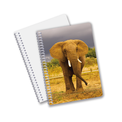 China Low Price Products Custom 3d lenticular printing Flowers Animals Hardcover Reusable Notebook With Logo