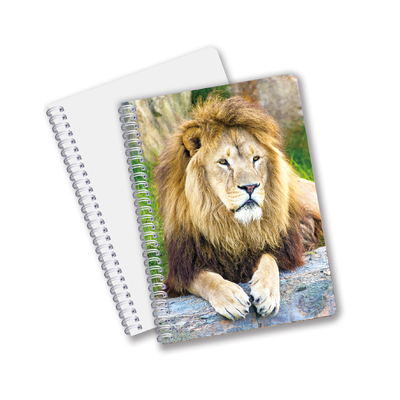 China Factory 3D Lenticular Custom offset Printed PET A3/A4/A5/A6 Notebooks
