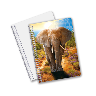 China Factory 3D Lenticular Custom offset Printed PET A3/A4/A5/A6 Notebooks