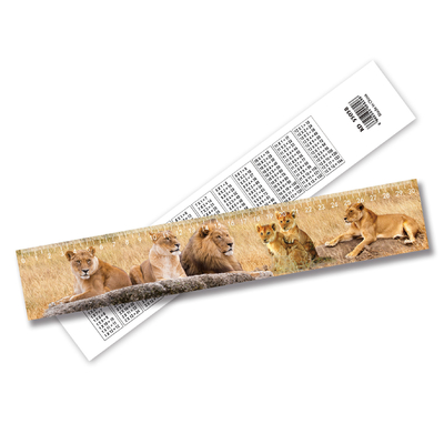 China Customized Plastic Plant 3D Lenticular Ruler 3D Animal Ruler Lenticular Print