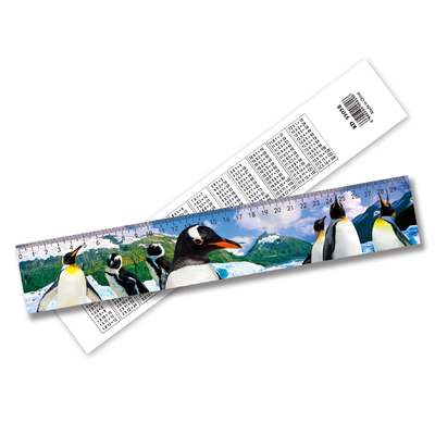 Factory Price 3D Lenticular Ruler Anime Flip Ruler Customization For School For Office