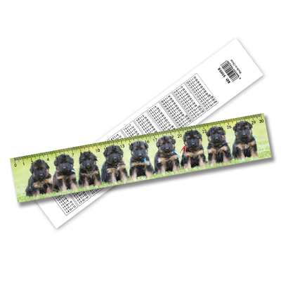 Customized 3D Lenticular Ruler High Definition Strong 3D Effect