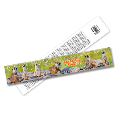 Cute Fancy Printing 3D Lenticular Ruler Plastic Flexible Ruler Customized Shape