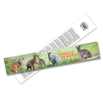 2024 Hot sale Customize Lenticular 3D Effect Ruler Plastic 3d Ruler For Kids