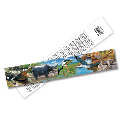 China Factory 3D Lenticular Ruler 3D Animal Ruler Lenticular Print