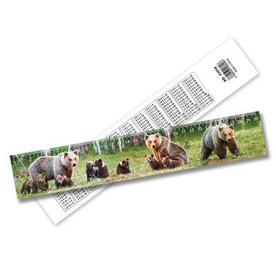 New Trending High Quality Cheap Custom 3D Lenticular Ruler 3D Picture Irregularity Ruler By 3D Ruler Supplier
