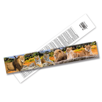 School Students Kids Custom Printed Rulers Stationery 3D Lenticular Ruler