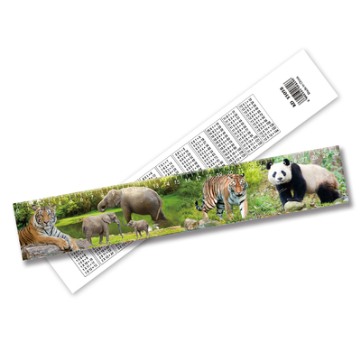 3D Lenticular Printable Parallel Rulers Wholesale Products Custom Design Plastic 3D Rulers for School Plastic John