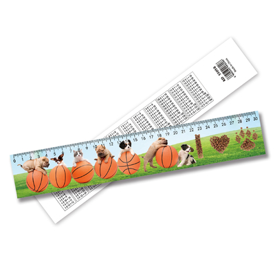 3D Lenticular Printable Parallel Rulers Wholesale Products Custom Design Plastic 3D Rulers for School Plastic John