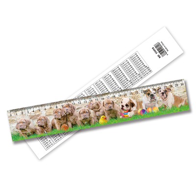Custom 3D Hologram Lenticular Ruler high Quality Wholesale Custom 3d Lenticular Ruler For Promotion