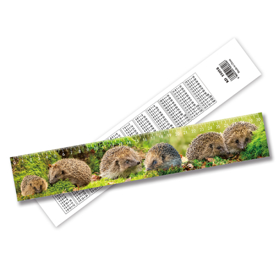 Custom 3D Hologram Lenticular Ruler high Quality Wholesale Custom 3d Lenticular Ruler For Promotion