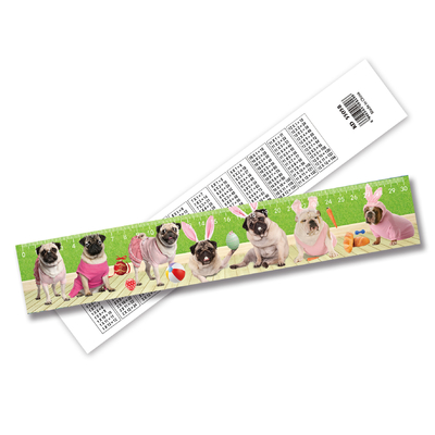 High Quality 3d Lenticular Ruler Lenticular Printing Ruler Straight Ruler Plastic