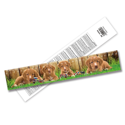 Customizable Lenticular 3d Ruler PET Home Decorations With 3D Animation Effect