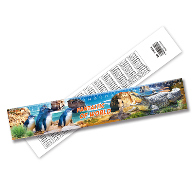 Customizable Lenticular 3d Ruler PET Home Decorations With 3D Animation Effect
