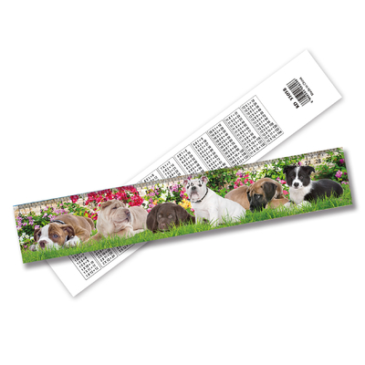 Customizable Lenticular 3d Ruler PET Home Decorations With 3D Animation Effect