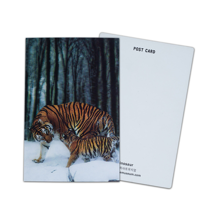 Brown Bear In Alaska Lenticular Card Souvenir Gift Card For Tourist 3d Postcards
