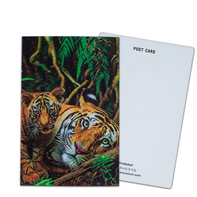 Participation and Donation Options 3D Card with Lenticular Printing