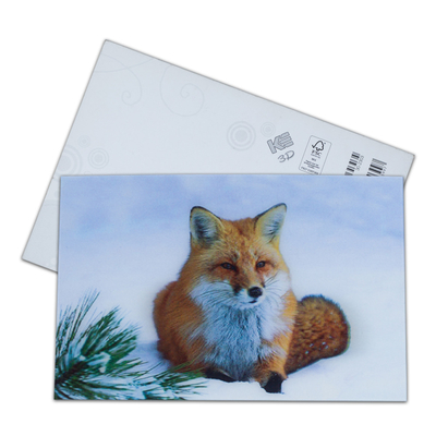 Brown Bear In Alaska Lenticular Card Souvenir Gift Card For Tourist 3d Postcards