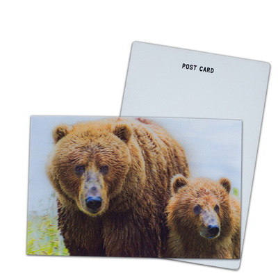 Brown Bear In Alaska Lenticular Card Souvenir Gift Card For Tourist 3d Postcards