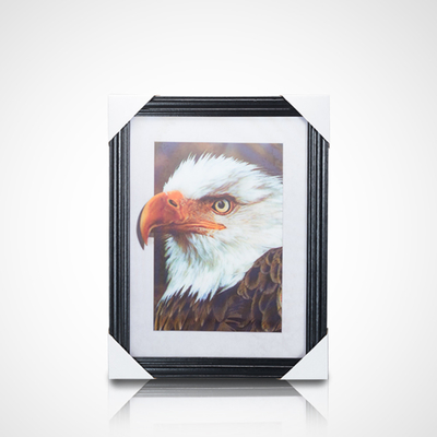 Best selling Lenticular Lens Sheet 3D Picture Lenticular Poster Flip Picture Anime Poster 3D Lenticular Poster