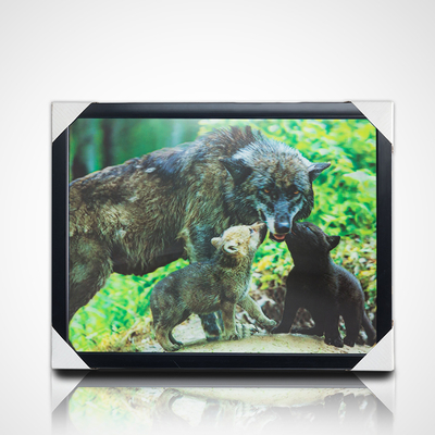 3D Lenticular Painting With Black Frame 40*30cm PET 5D 3D Lenticular Picture Frames Artwork Modern Pictures