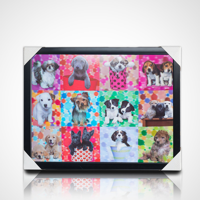 3D Lenticular Painting With Black Frame 40*30cm PET 5D 3D Lenticular Picture Frames Artwork Modern Pictures