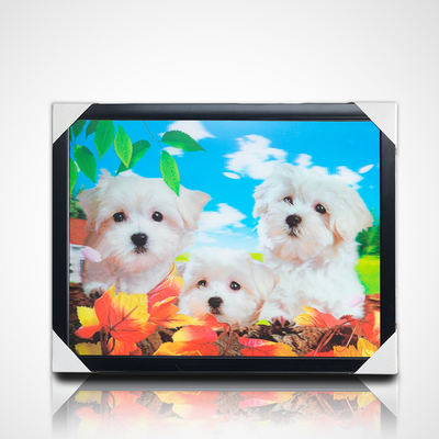 Custom 30*40 cm Japanese Anime Painting Anime Pictures 3D Poster Lenticular Anime Poster for Wall Decors